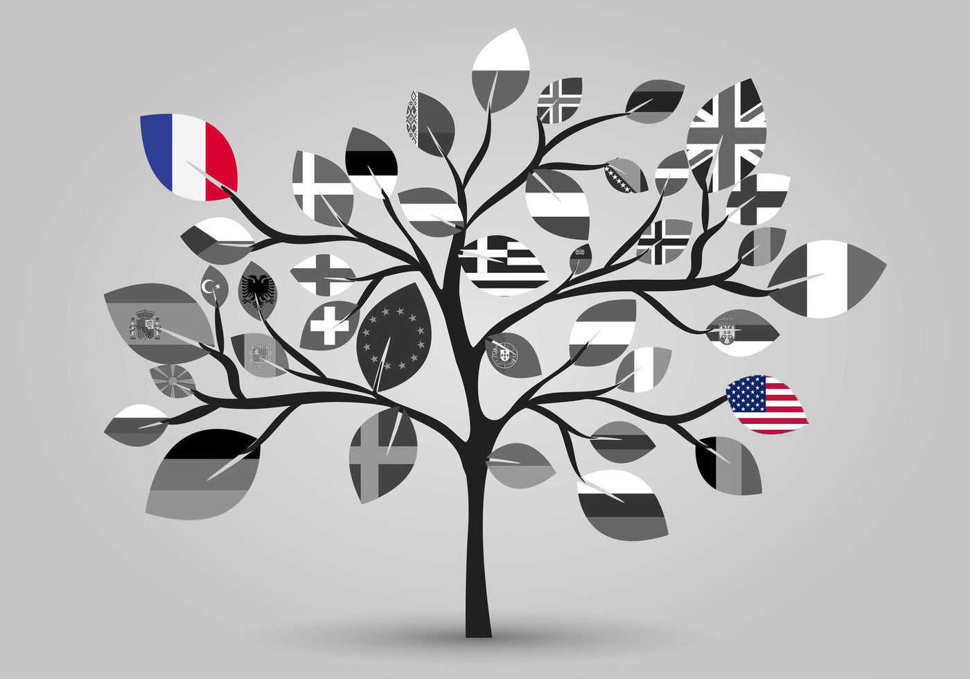 Things a French person should know while applying job in US