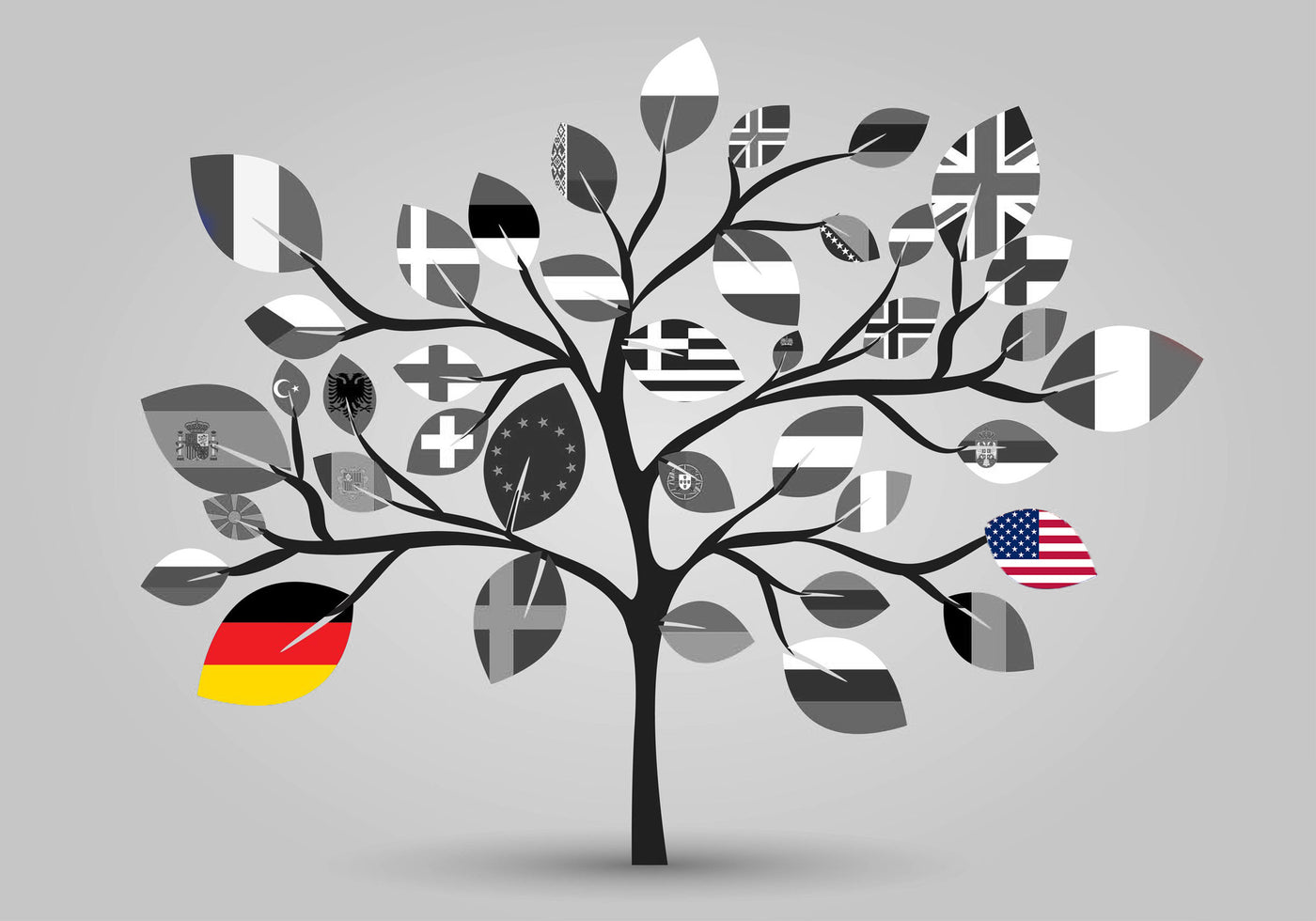 Top 3 Differences between a US and German Resumé